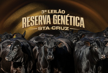 3º LEILÃO RESERVA GENÉTICA SANTA CRUZ